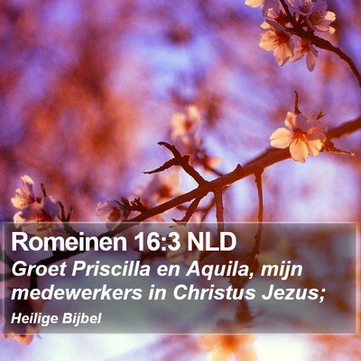 Romeinen 16:3 NLD Bible Verse Image