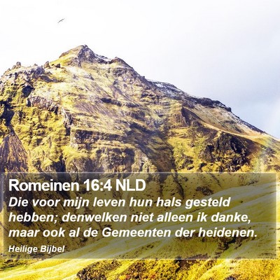 Romeinen 16:4 NLD Bible Verse Image