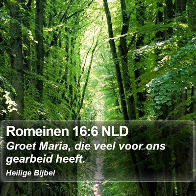 Romeinen 16:6 NLD Bible Verse Image