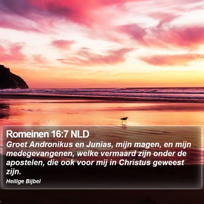 Romeinen 16:7 NLD Bible Verse Image