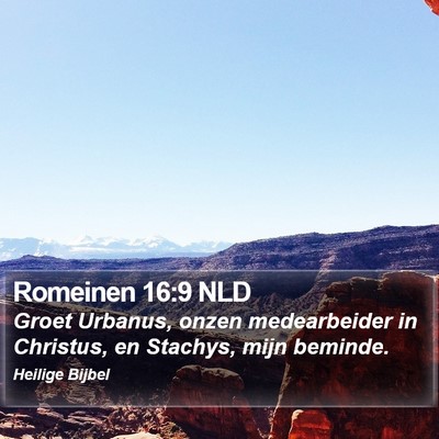 Romeinen 16:9 NLD Bible Verse Image