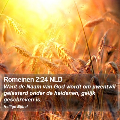 Romeinen 2:24 NLD Bible Verse Image