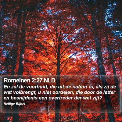 Romeinen 2:27 NLD Bible Verse Image