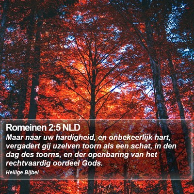 Romeinen 2:5 NLD Bible Verse Image