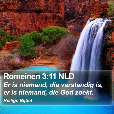 Romeinen 3:11 NLD Bible Verse Image