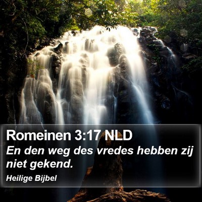 Romeinen 3:17 NLD Bible Verse Image