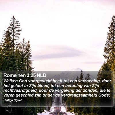Romeinen 3:25 NLD Bible Verse Image