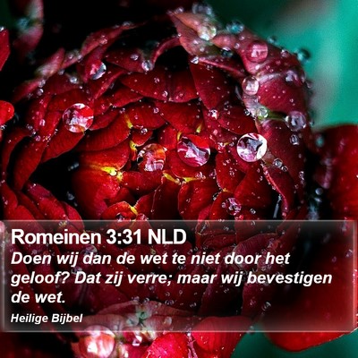 Romeinen 3:31 NLD Bible Verse Image