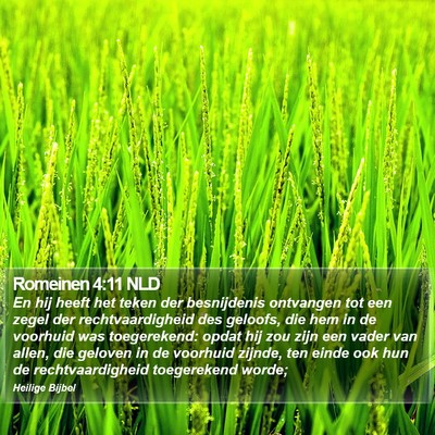 Romeinen 4:11 NLD Bible Verse Image