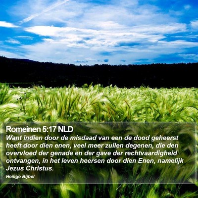 Romeinen 5:17 NLD Bible Verse Image