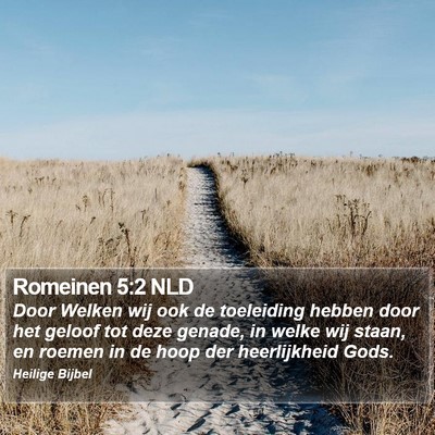 Romeinen 5:2 NLD Bible Verse Image