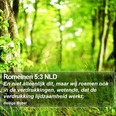 Romeinen 5:3 NLD Bible Verse Image