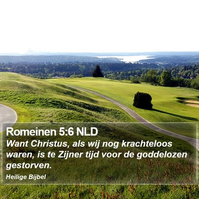 Romeinen 5:6 NLD Bible Verse Image