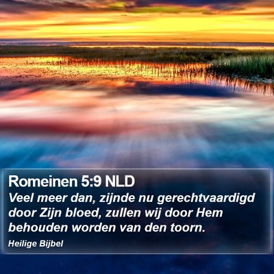 Romeinen 5:9 NLD Bible Verse Image