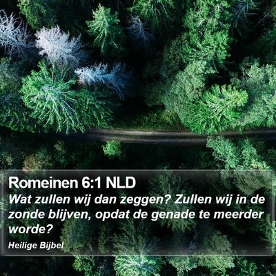 Romeinen 6:1 NLD Bible Verse Image