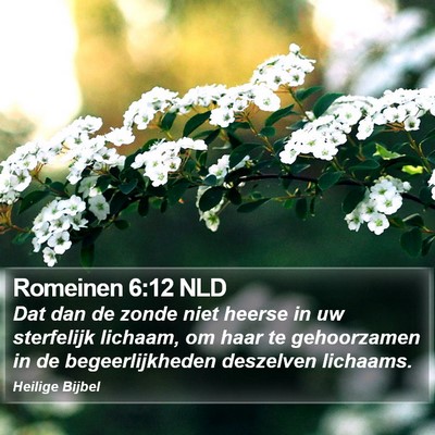 Romeinen 6:12 NLD Bible Verse Image