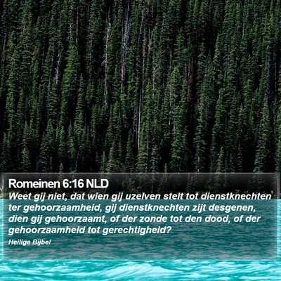 Romeinen 6:16 NLD Bible Verse Image