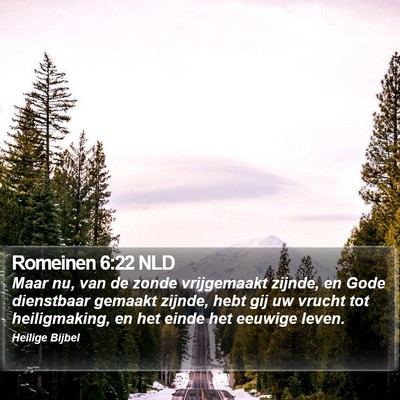 Romeinen 6:22 NLD Bible Verse Image