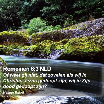 Romeinen 6:3 NLD Bible Verse Image