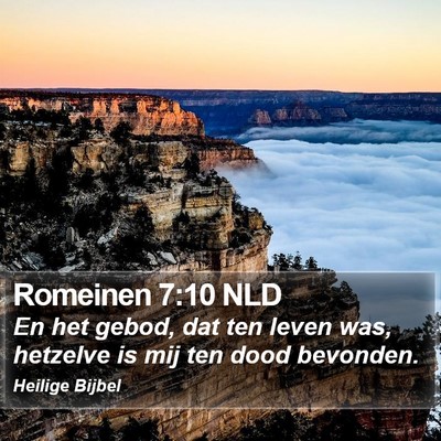 Romeinen 7:10 NLD Bible Verse Image