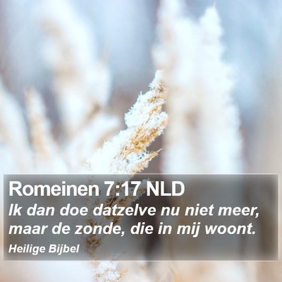 Romeinen 7:17 NLD Bible Verse Image