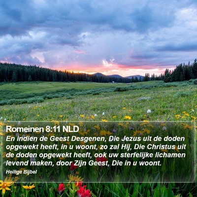 Romeinen 8:11 NLD Bible Verse Image