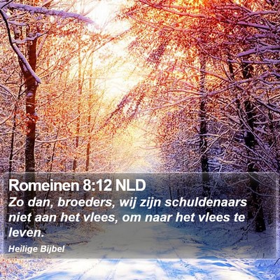 Romeinen 8:12 NLD Bible Verse Image