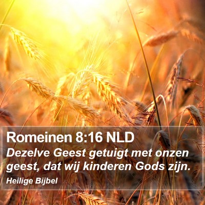 Romeinen 8:16 NLD Bible Verse Image