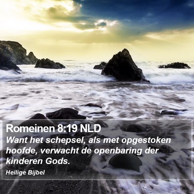 Romeinen 8:19 NLD Bible Verse Image