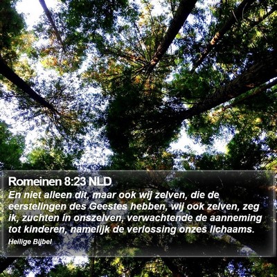 Romeinen 8:23 NLD Bible Verse Image