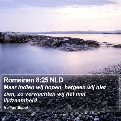 Romeinen 8:25 NLD Bible Verse Image