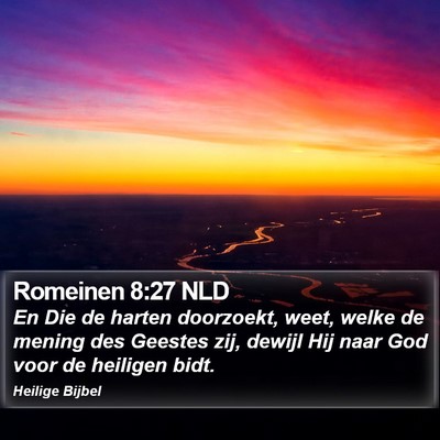 Romeinen 8:27 NLD Bible Verse Image