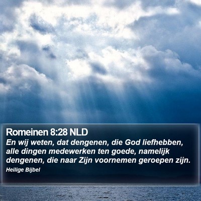 Romeinen 8:28 NLD Bible Verse Image