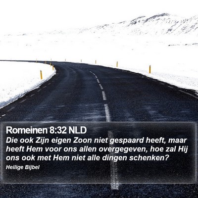 Romeinen 8:32 NLD Bible Verse Image