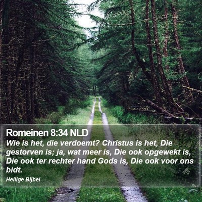Romeinen 8:34 NLD Bible Verse Image