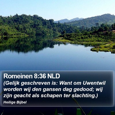 Romeinen 8:36 NLD Bible Verse Image