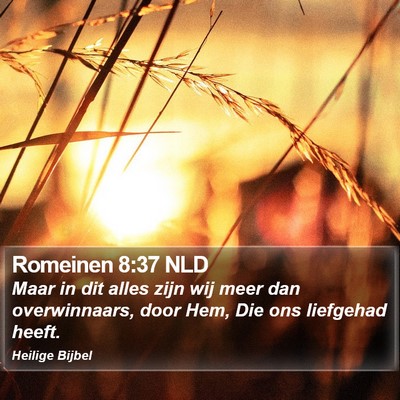 Romeinen 8:37 NLD Bible Verse Image