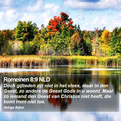 Romeinen 8:9 NLD Bible Verse Image