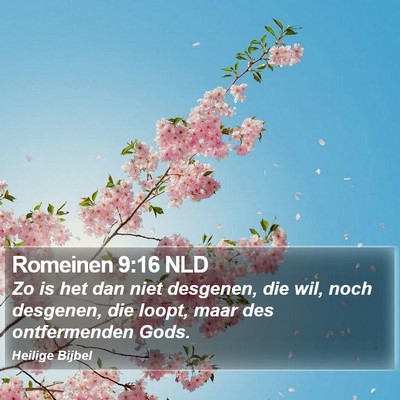 Romeinen 9:16 NLD Bible Verse Image