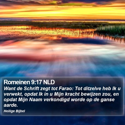 Romeinen 9:17 NLD Bible Verse Image