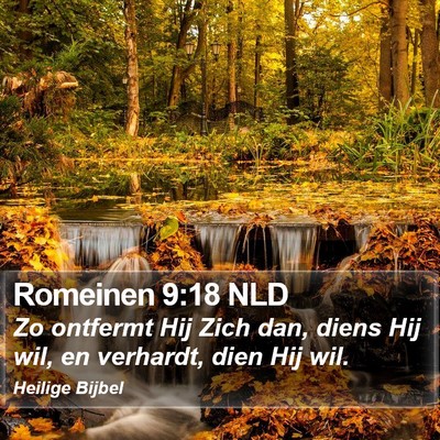 Romeinen 9:18 NLD Bible Verse Image