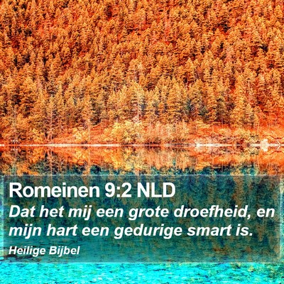Romeinen 9:2 NLD Bible Verse Image