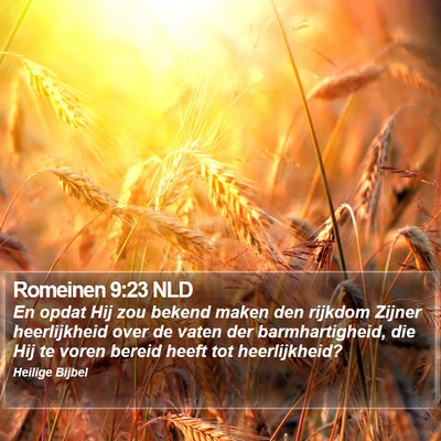 Romeinen 9:23 NLD Bible Verse Image