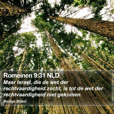 Romeinen 9:31 NLD Bible Verse Image
