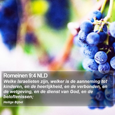 Romeinen 9:4 NLD Bible Verse Image