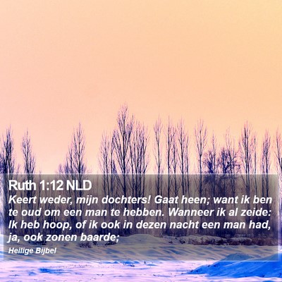 Ruth 1:12 NLD Bible Verse Image