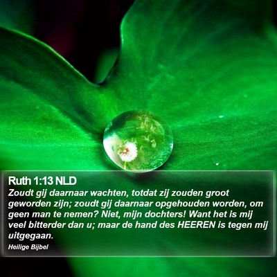 Ruth 1:13 NLD Bible Verse Image