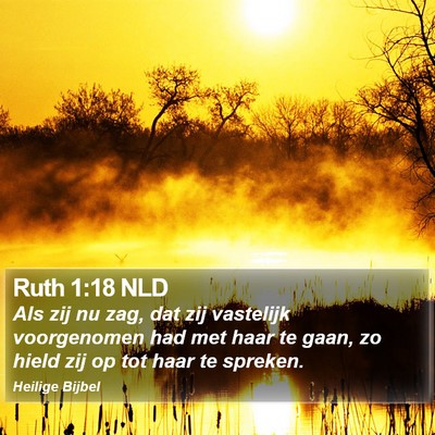 Ruth 1:18 NLD Bible Verse Image