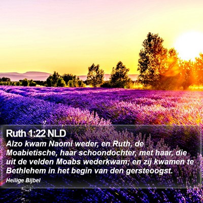 Ruth 1:22 NLD Bible Verse Image