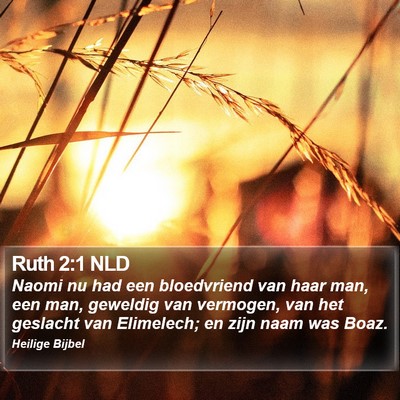 Ruth 2:1 NLD Bible Verse Image